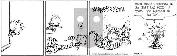 Calvin and Hobbes on Wednesday January 11, 1995 Comic Strip