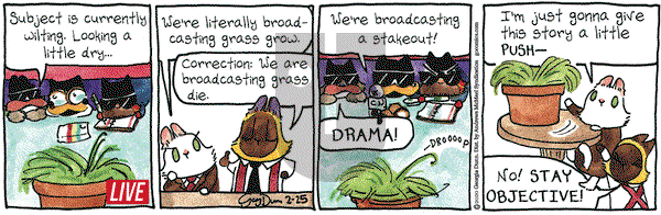 Breaking Cat News on Tuesday February 25, 2020 Comic Strip