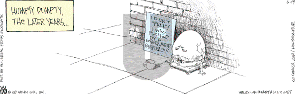 Non Sequitur - Thursday June 19, 2008 Comic Strip