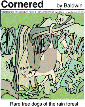 Cornered - Friday October 20, 2000 Comic Strip