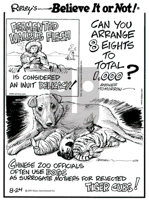 Ripley's Believe It or Not on Friday August 24, 2007 Comic Strip