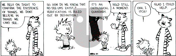 Calvin and Hobbes - Wednesday August 9, 1995 Comic Strip