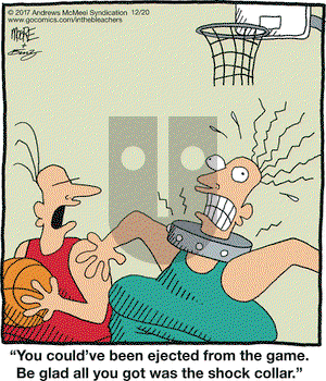In the Bleachers on Wednesday December 20, 2017 Comic Strip