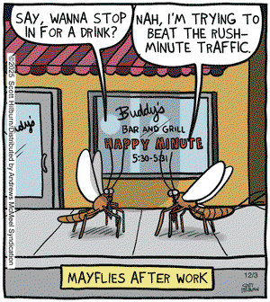 The Argyle Sweater on Wednesday December 3, 2025 Comic Strip