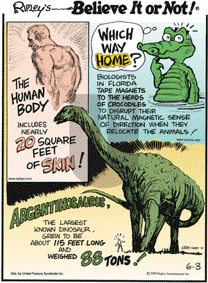 Ripley's Believe It or Not on Wednesday June 3, 2009 Comic Strip