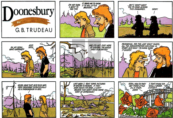 Doonesbury on Sunday June 12, 1988 Comic Strip