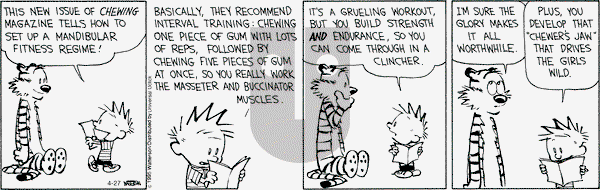 Calvin and Hobbes on Monday April 27, 2015 Comic Strip
