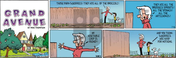 Grand Avenue on Sunday July 16, 2017 Comic Strip