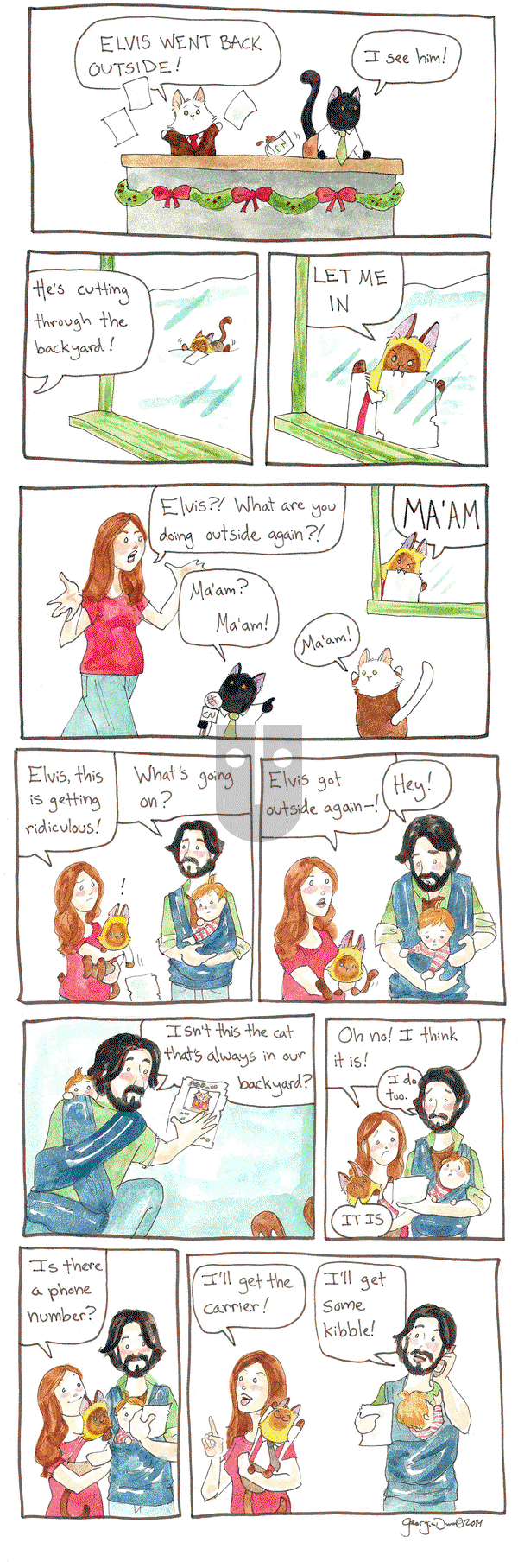 Breaking Cat News on Thursday December 24, 2015 Comic Strip