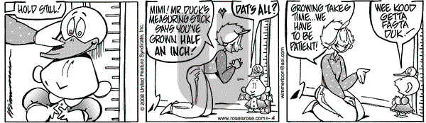Rose is Rose on Friday January 4, 2008 Comic Strip