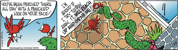 Rose is Rose on Saturday July 5, 2014 Comic Strip