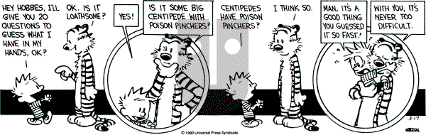 Calvin and Hobbes on Saturday March 17, 1990 Comic Strip