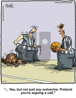 In the Bleachers on Monday February 11, 2008 Comic Strip