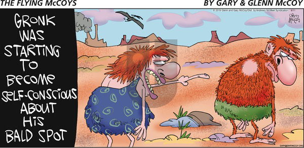 The Flying McCoys on Sunday August 4, 2019 Comic Strip