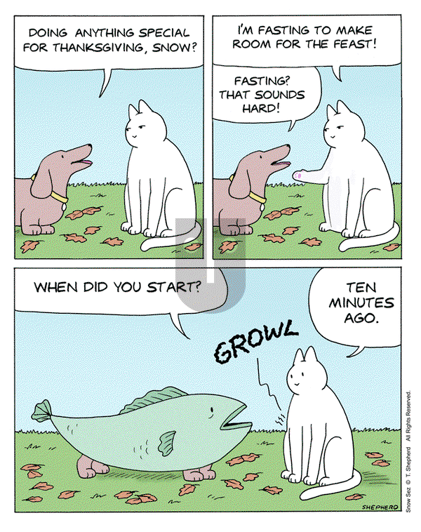 Snow Sez on Monday November 25, 2024 Comic Strip