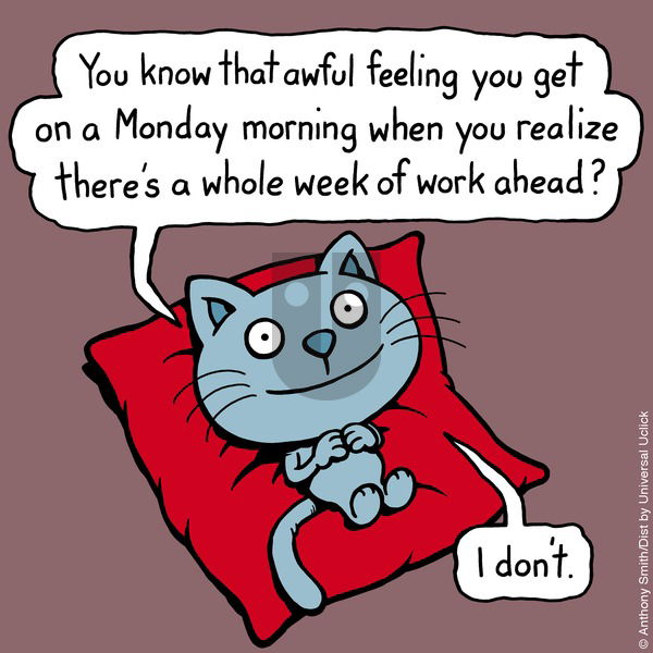 Cattitude — Doggonit - Sunday October 24, 2021 Comic Strip
