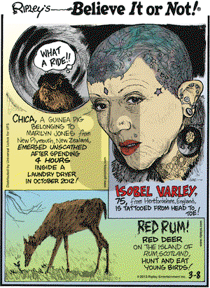 Ripley's Believe It or Not on Friday March 8, 2013 Comic Strip