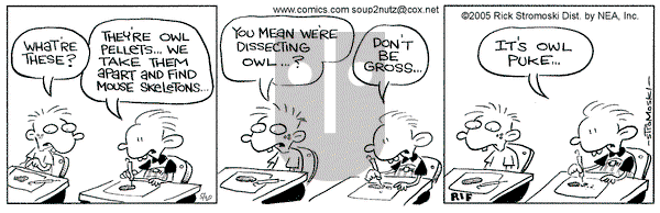 Soup to Nutz - Old on Friday May 20, 2005 Comic Strip
