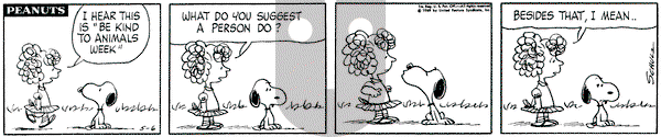 Peanuts on Tuesday May 6, 1969 Comic Strip