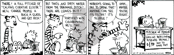 Calvin and Hobbes - Thursday August 17, 1989 Comic Strip