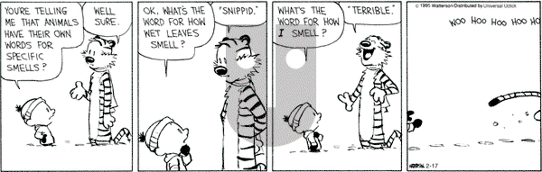 Calvin and Hobbes on Tuesday February 17, 2015 Comic Strip