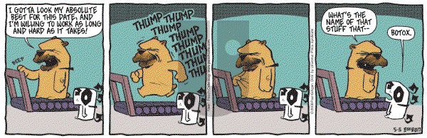 Pooch Cafe on Monday May 5, 2008 Comic Strip