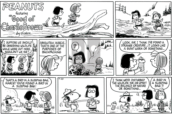 Peanuts - Sunday July 23, 1978 Comic Strip