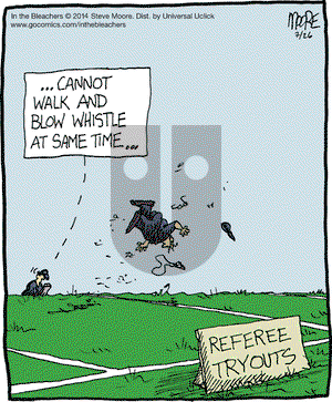 In the Bleachers on Saturday July 26, 2014 Comic Strip