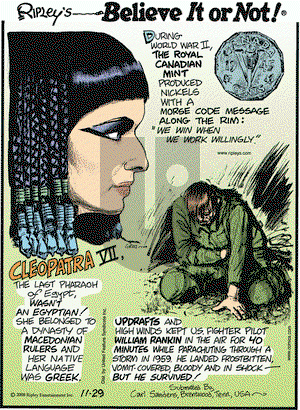 Ripley's Believe It or Not on Saturday November 29, 2008 Comic Strip