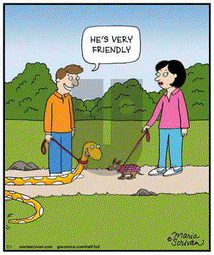 Half Full on Tuesday July 1, 2014 Comic Strip
