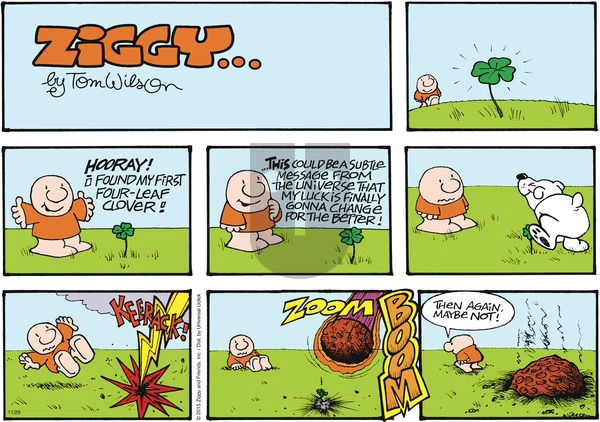 Ziggy on Sunday November 29, 2015 Comic Strip