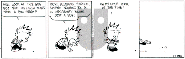 Calvin and Hobbes on Friday June 6, 2025 Comic Strip