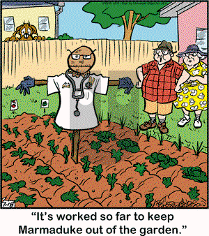 Marmaduke on Saturday July 18, 2015 Comic Strip