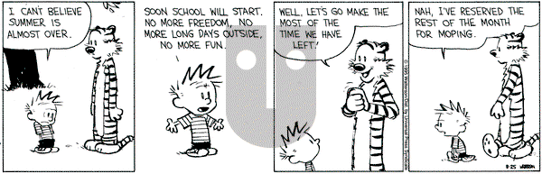Calvin and Hobbes on Friday August 25, 1995 Comic Strip