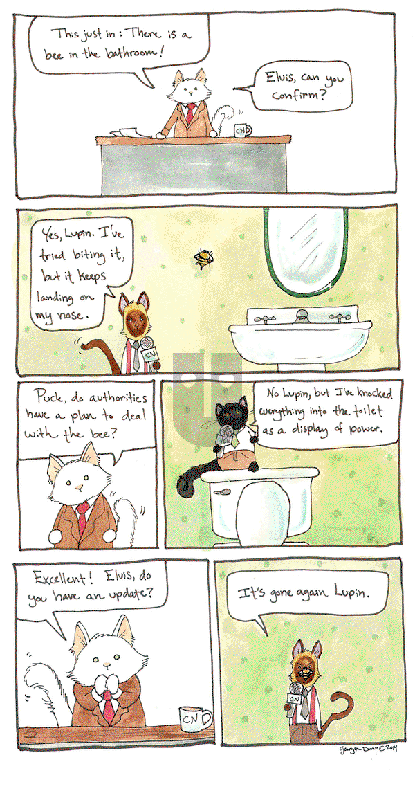 Breaking Cat News on Monday August 29, 2016 Comic Strip