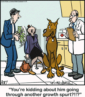 Marmaduke - Saturday February 8, 2020 Comic Strip