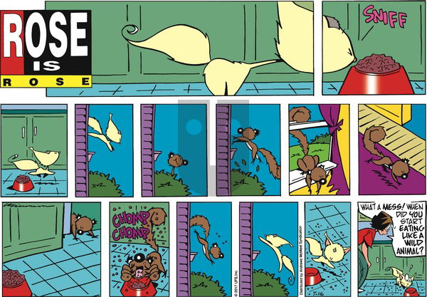 Rose is Rose on Sunday July 16, 2017 Comic Strip