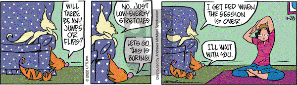 Rose is Rose - Monday November 28, 2022 Comic Strip