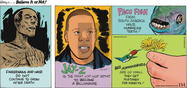Ripley's Believe It or Not on Sunday November 1, 2020 Comic Strip