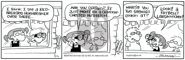 Soup to Nutz - Old on Monday December 4, 2006 Comic Strip