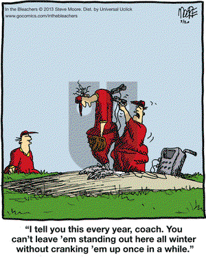 In the Bleachers on Wednesday March 20, 2013 Comic Strip