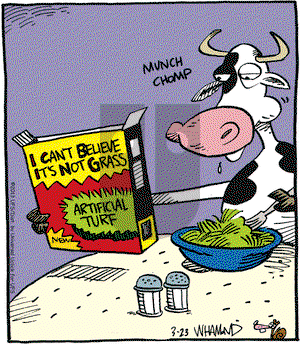 Reality Check on Saturday March 23, 2013 Comic Strip