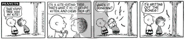 Peanuts on Monday May 31, 1965 Comic Strip