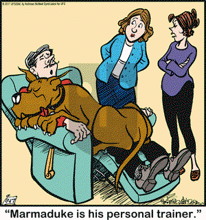 Marmaduke on Friday November 17, 2017 Comic Strip