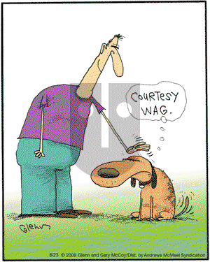 The Flying McCoys on Friday August 23, 2019 Comic Strip