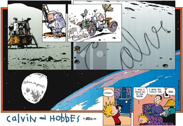 Calvin and Hobbes on Sunday January 22, 1995 Comic Strip