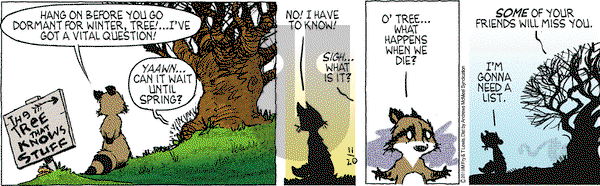 Over the Hedge on Wednesday November 20, 2019 Comic Strip