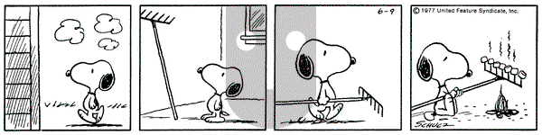 Peanuts on Thursday June 9, 1977 Comic Strip