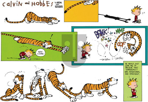 Calvin and Hobbes on Sunday May 9, 1993 Comic Strip