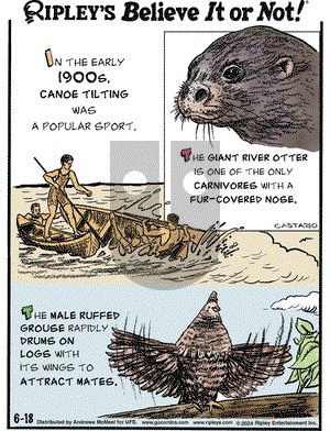 Ripley's Believe It or Not - Tuesday June 18, 2024 Comic Strip